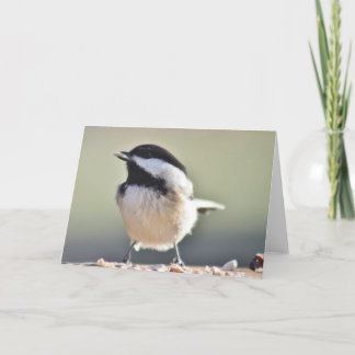 Chickadee-Fotografie Karte