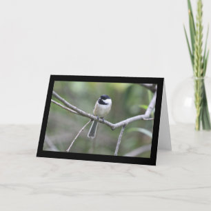 Chickadee Grußkarte Karte