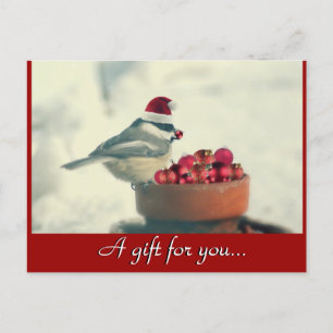 Chickadee Holiday Geschenkgutschein Postkarte
