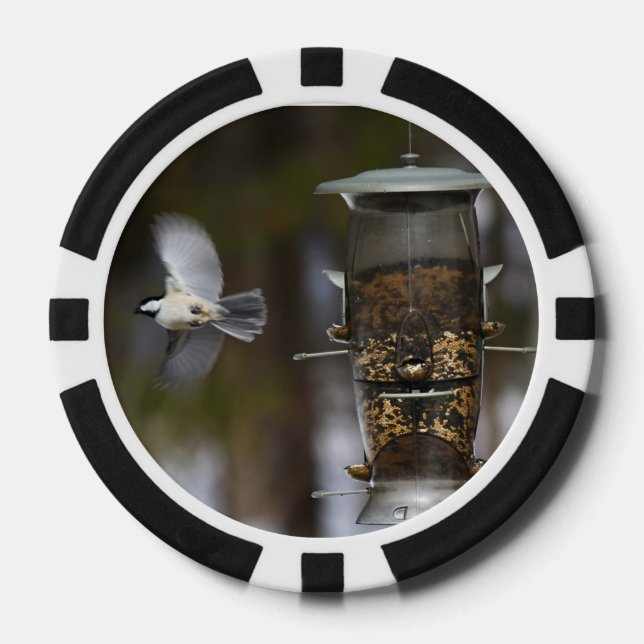 Chickadee im Flug Pokerchips (Vorderseite)