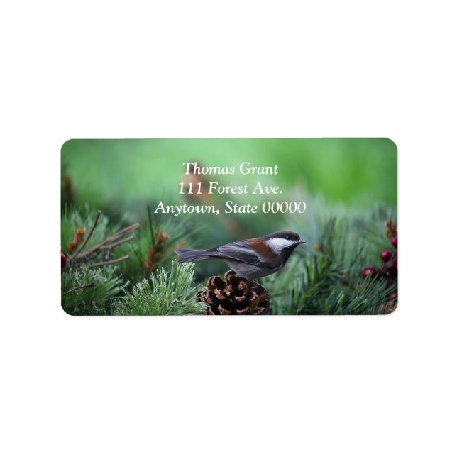 Chickadee im Winter Adressaufkleber (Vorne)