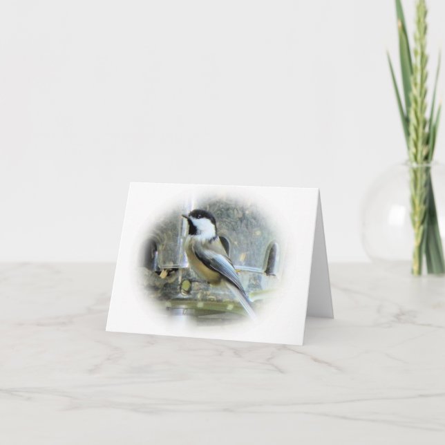 Chickadee Karte (Vorderseite)