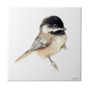 Chickadee Keramik Tile Fliese