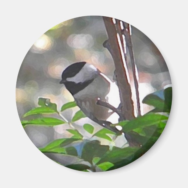 Chickadee Magnet (Vorne)