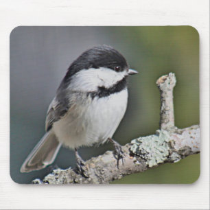 Chickadee Mousepad