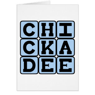 Chickadee, Nordamerikanischer Vogel