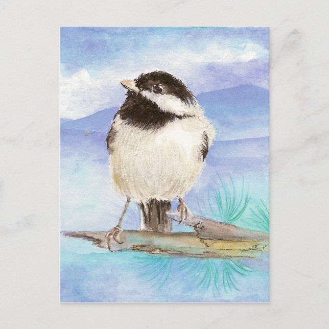 Chickadee, Oiseau, Faune, Nature, Carte postale (Devant)