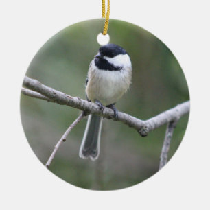 Chickadee-Ornament Keramik Ornament