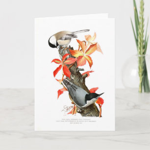 Chickadee und Nuthatch Karte