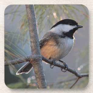 Chickadee Untersetzer