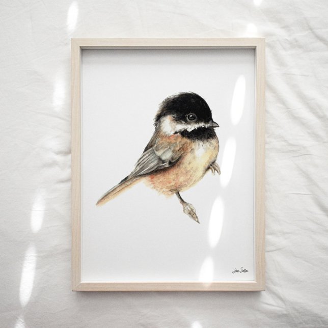 Chickadee Wasserfarben Kunst, Dichtung und Musik Poster (Chickadee Watercolor Art Print
from Jennifer Steffen, Jenn Steffen Art. )