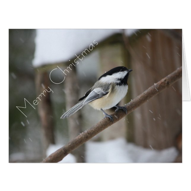 Chickadee Weihnachtskarte (Vorderseite (Horizontal))
