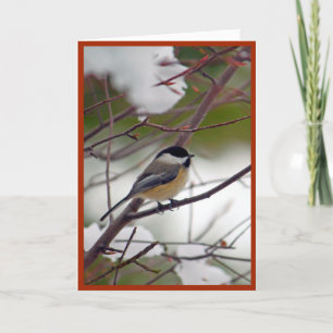 Chickadee-Weihnachtskarte Feiertagskarte
