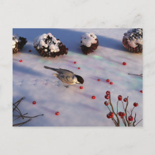 Chickadee Winter Postkarte