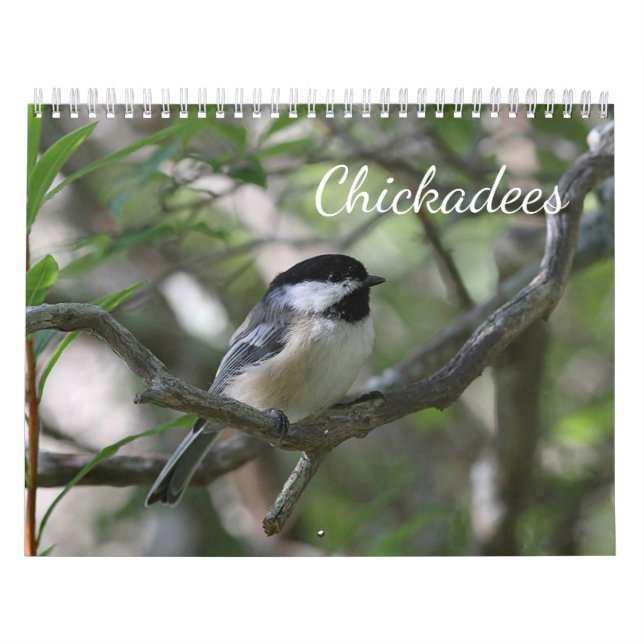 Chickadees Kalender (Titelbild)