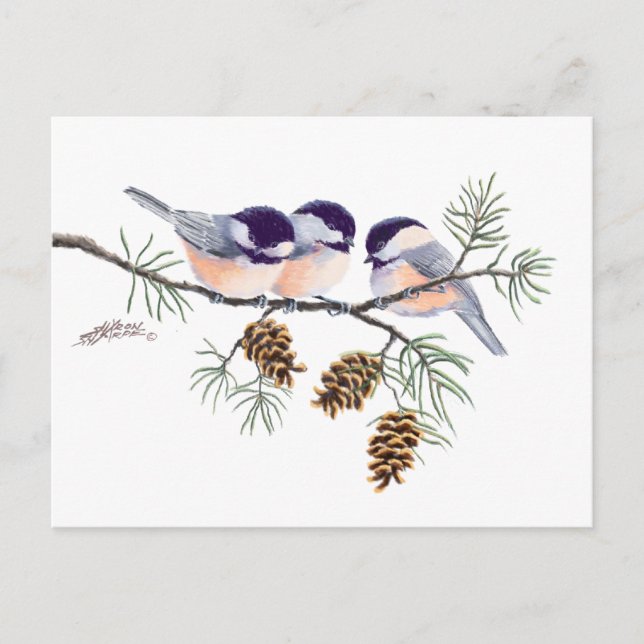 CHICKADEES & PINECONES VON SHARON SHARPE POSTKARTE (Vorderseite)