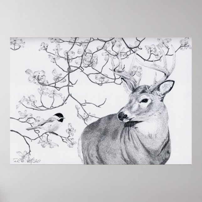 Chickadee's Song Poster (Vorne)