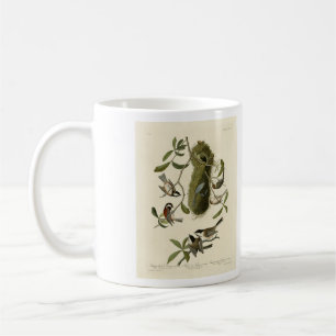 Chickadees und Bushtit, Audubons Vögel von Amerika Kaffeetasse