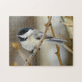 Chickadepuzzle