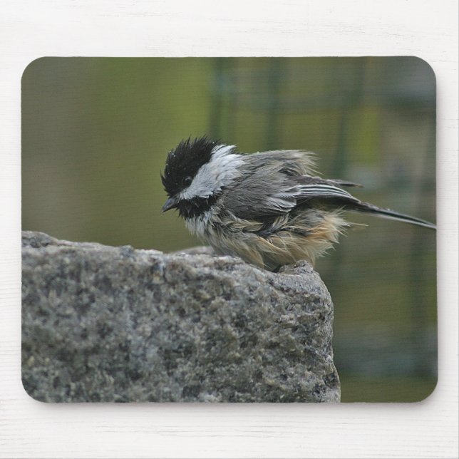 Chickdee, das Bad nimmt Mousepad (Vorne)