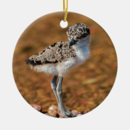 Chickeln Keramik Ornament