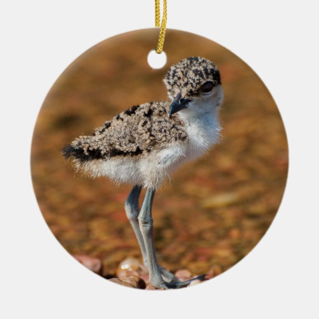 Chickeln Keramik Ornament (Vorne)