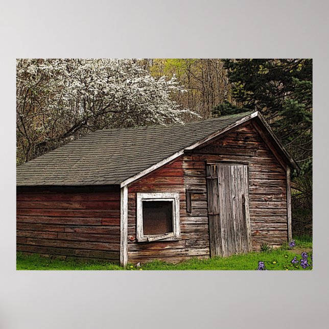 Chicken Coop in Spring Poster (Vorne)