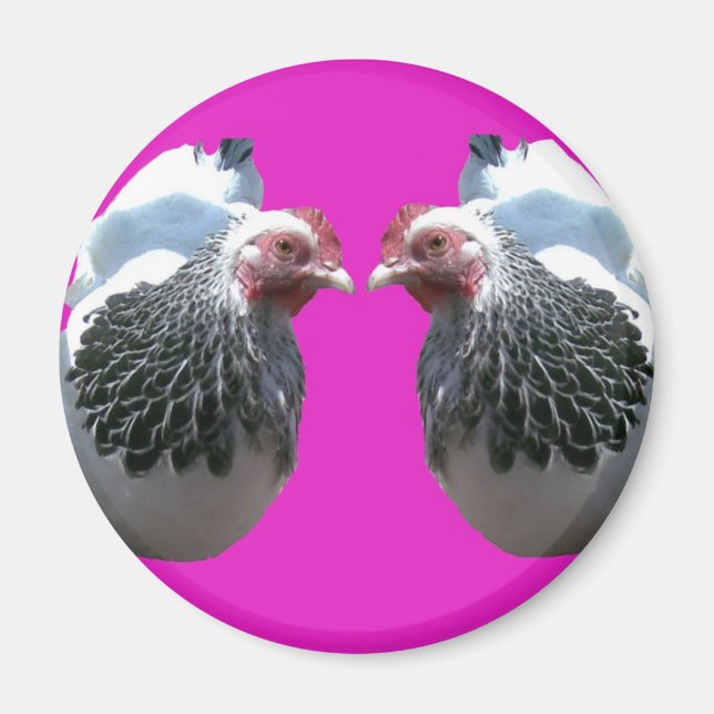 CHICKEN DUO ON MAGENTA MAGNET (Vorne)