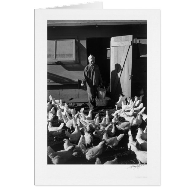 Chicken Farm Mori Nakashima 1943 (Devant)