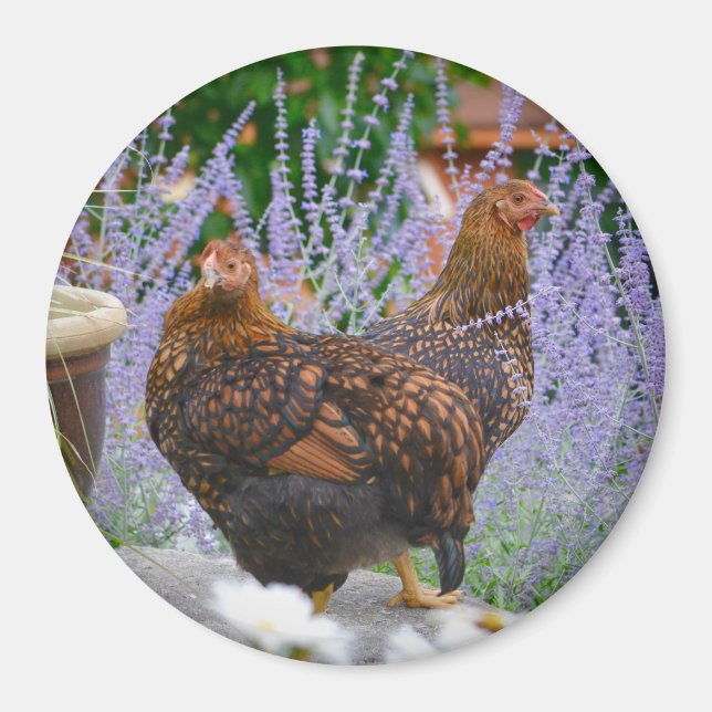 Chicken Floral Magnet (Vorne)