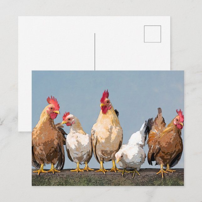 Chicken Hen Zwei-Tone-Tasse Postkarte (Vorne/Hinten)