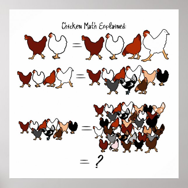 Chicken Math Poster (Vorne)