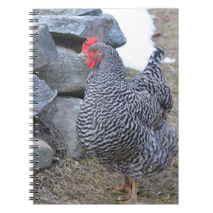 Chicken-Notebook Notizblock