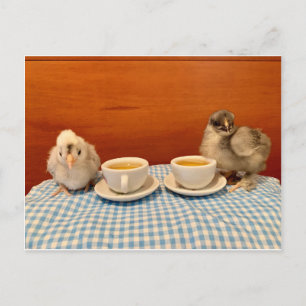 Chicken Picnic Postkarte