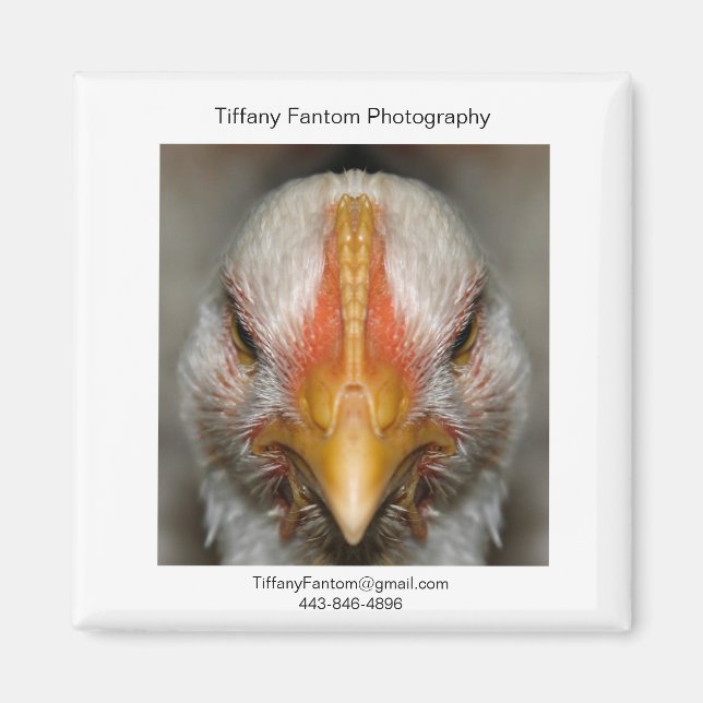 Chicken Promo Piece Magnet (Vorne)