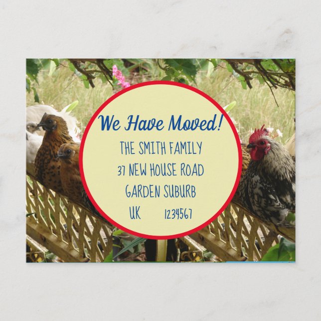 Chicken Rooster Nouvelle Adresse Carte Postale Nou (Devant)