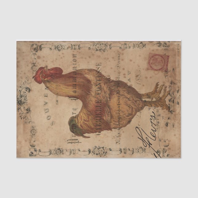 Chicken Scratch Seidenpapier (Vorderseite)