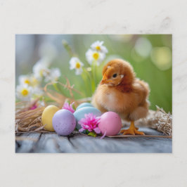 Chicken stands beside an Easter nest with eggs Postkarte