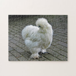 Chicken White Silkie Foto