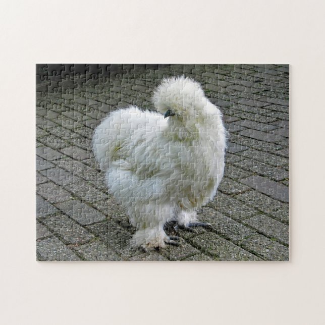 Chicken White Silkie Foto (Horizontal)