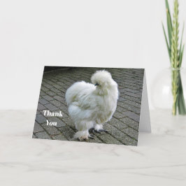 Chicken White Silkie Foto Dankeskarte