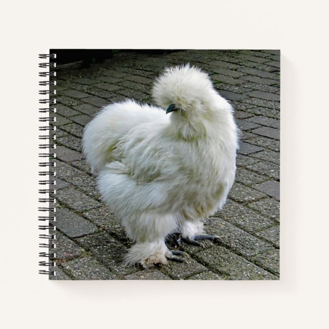 Chicken White Silkie Foto Notizbuch (Vorderseite)