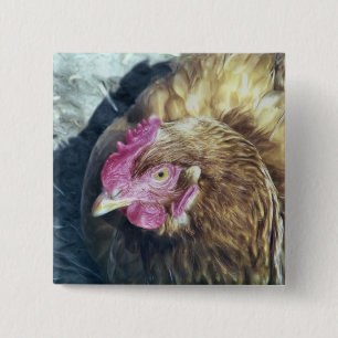 CHICKENS BUTTON