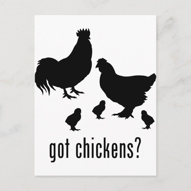 Chickens Postkarte (Vorderseite)