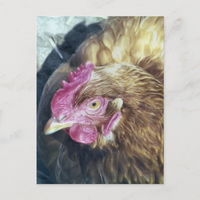 CHICKENS POSTKARTE (Vorderseite)