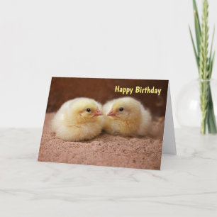Chicks Card BIRTHDAY Karte
