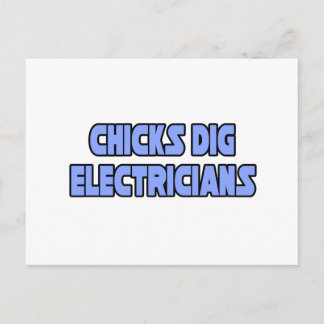 Chicks Dig Electrical Postkarte