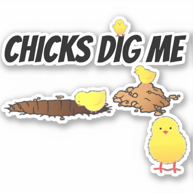 CHICKS DIG ME AUFKLEBER (Vorderseite)