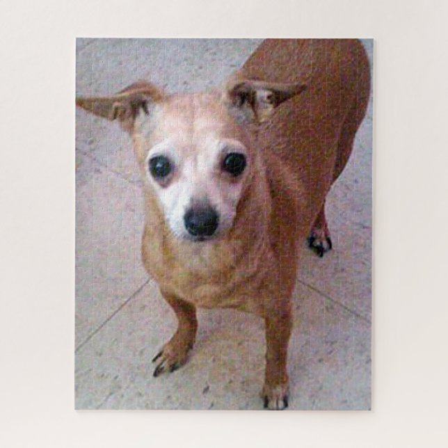 Chico Chiwawa (Vertikal)