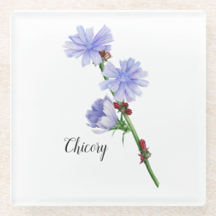 Chicorée Blume Watercolor Glasuntersetzer